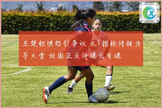 王楚钦愤怒引争议 大V指林诗栋为导火索 刘国正点评退无可退